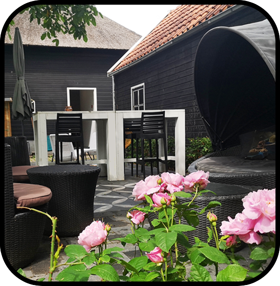 Relax in large garden of The Black Sheep Hostel